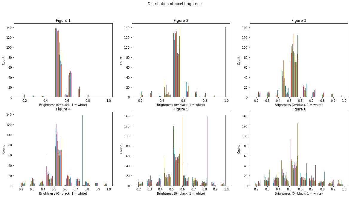 Image Histograms